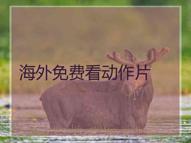 海外免费看动作片