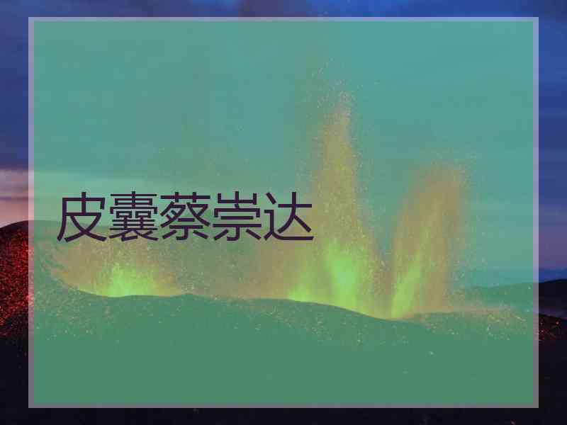皮囊蔡崇达