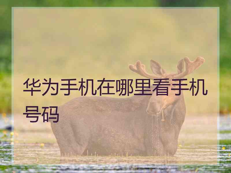 华为手机在哪里看手机号码