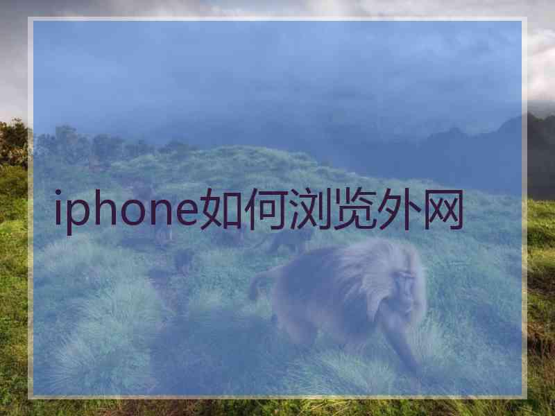 iphone如何浏览外网