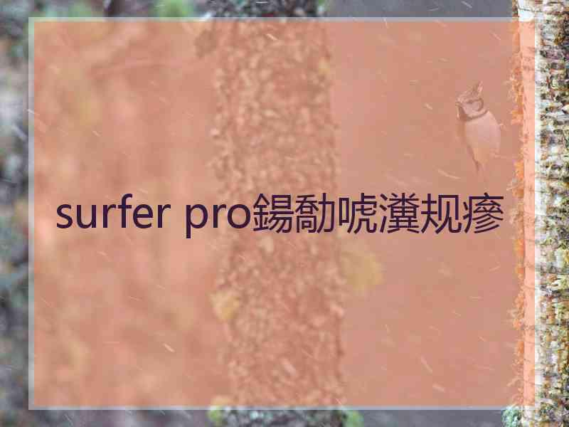 surfer pro鍚勪唬瀵规瘮