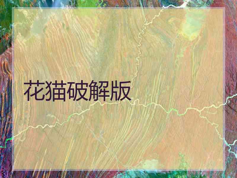 花猫破解版