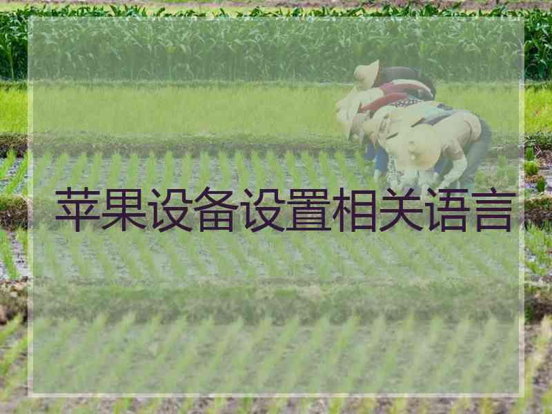 苹果设备设置相关语言
