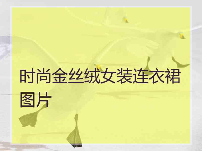 时尚金丝绒女装连衣裙图片