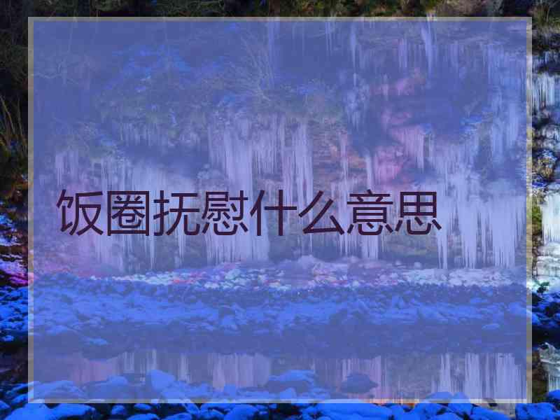 饭圈抚慰什么意思
