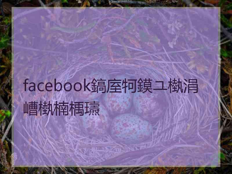facebook鎬庢牱鏌ユ槸涓嶆槸楠楀瓙