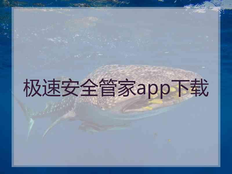 极速安全管家app下载