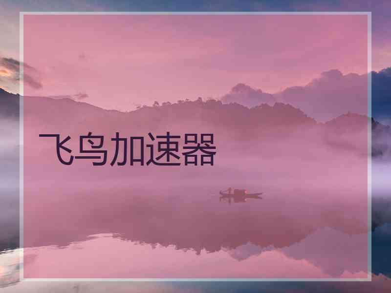 飞鸟加速器