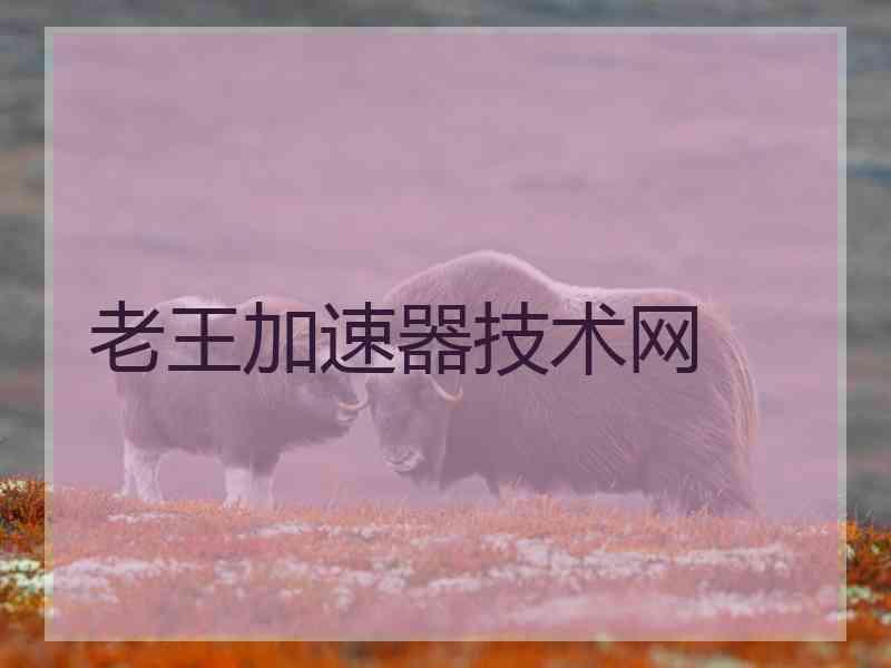 老王加速器技术网