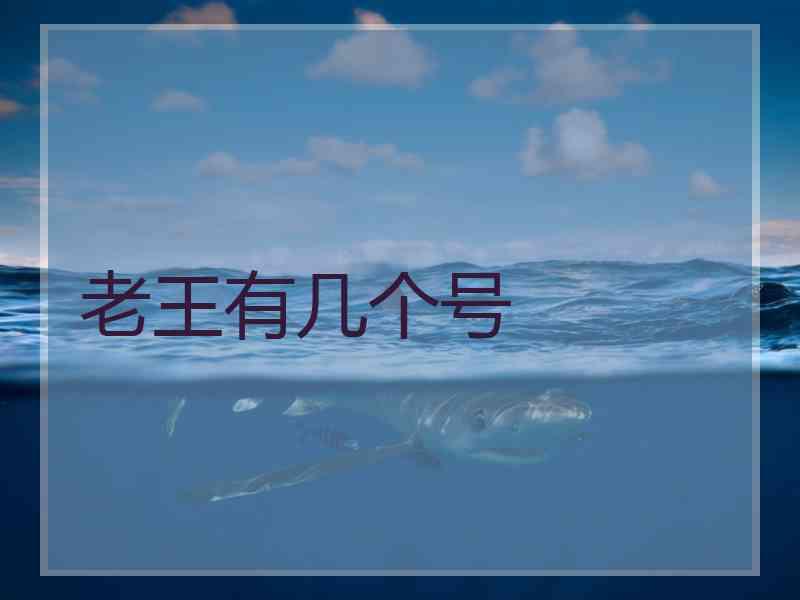 老王有几个号