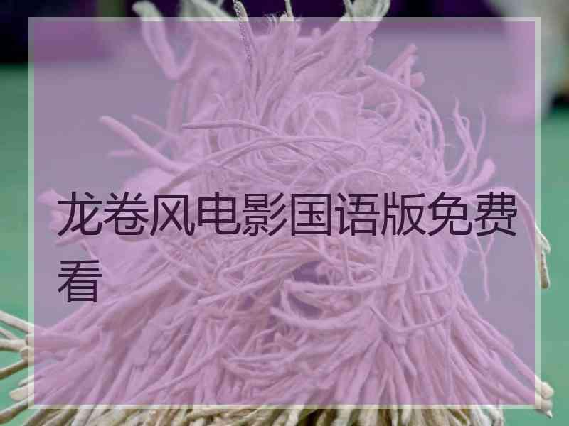 龙卷风电影国语版免费看