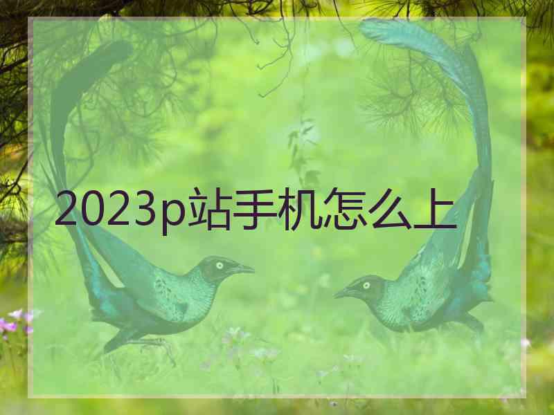 2023p站手机怎么上
