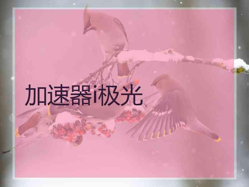 加速器i极光