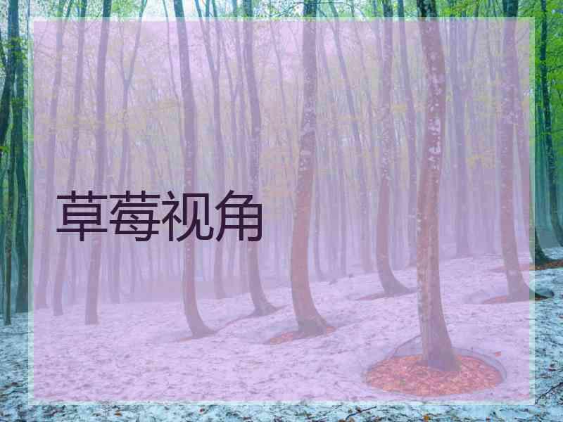 草莓视角
