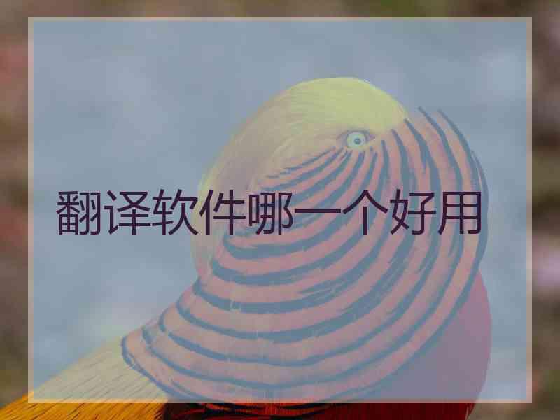 翻译软件哪一个好用