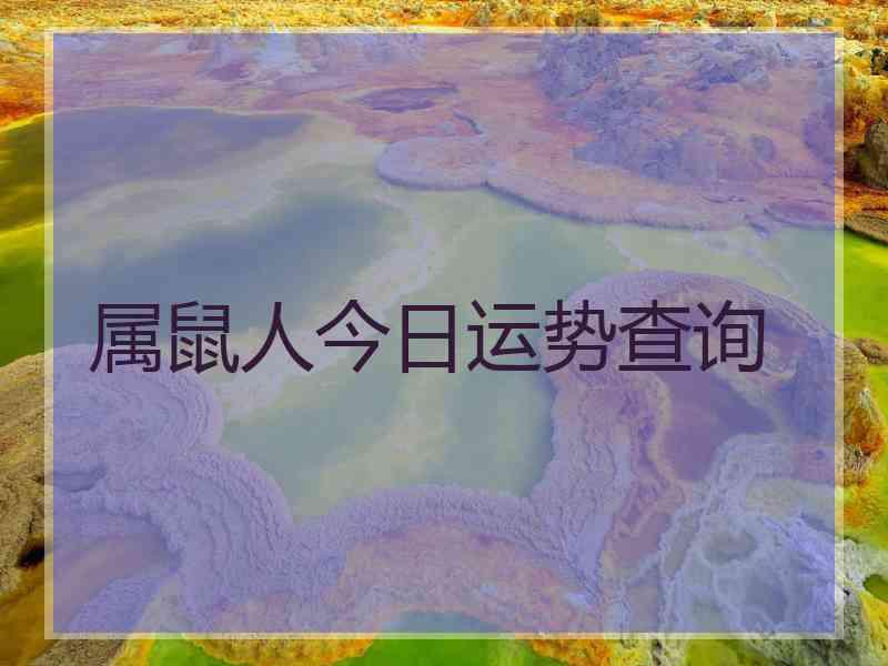 属鼠人今日运势查询