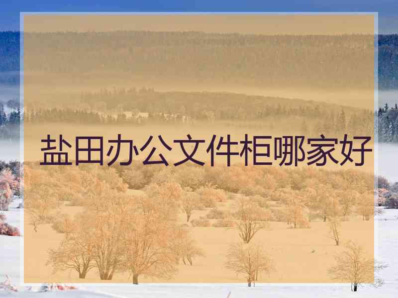 盐田办公文件柜哪家好