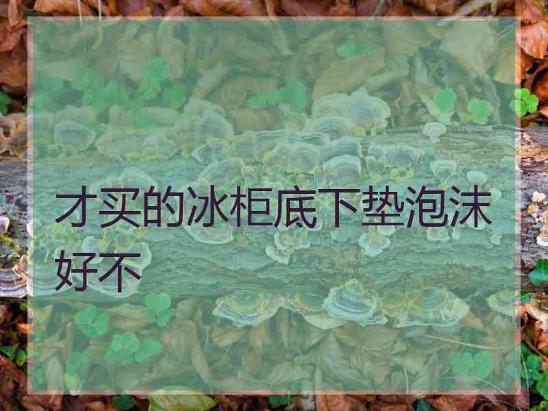 才买的冰柜底下垫泡沫好不