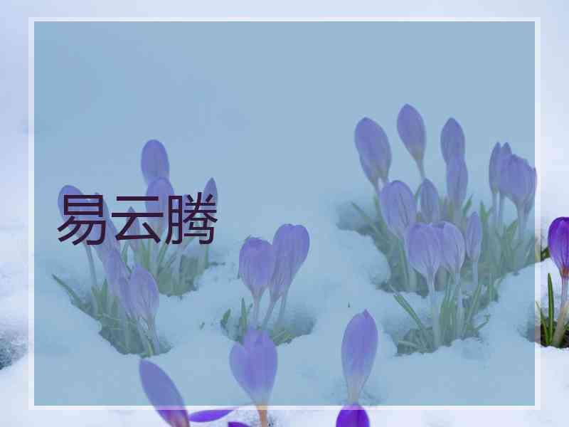 易云腾