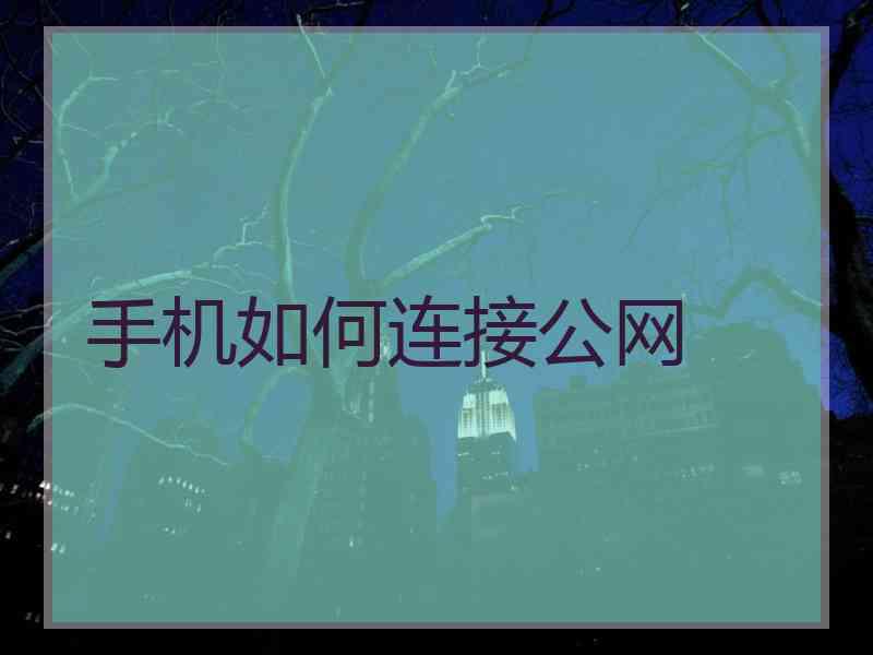 手机如何连接公网