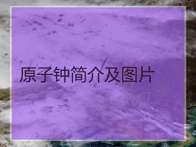 原子钟简介及图片