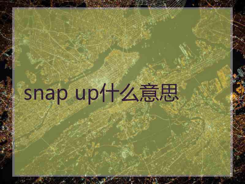 snap up什么意思