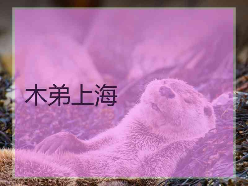 木弟上海
