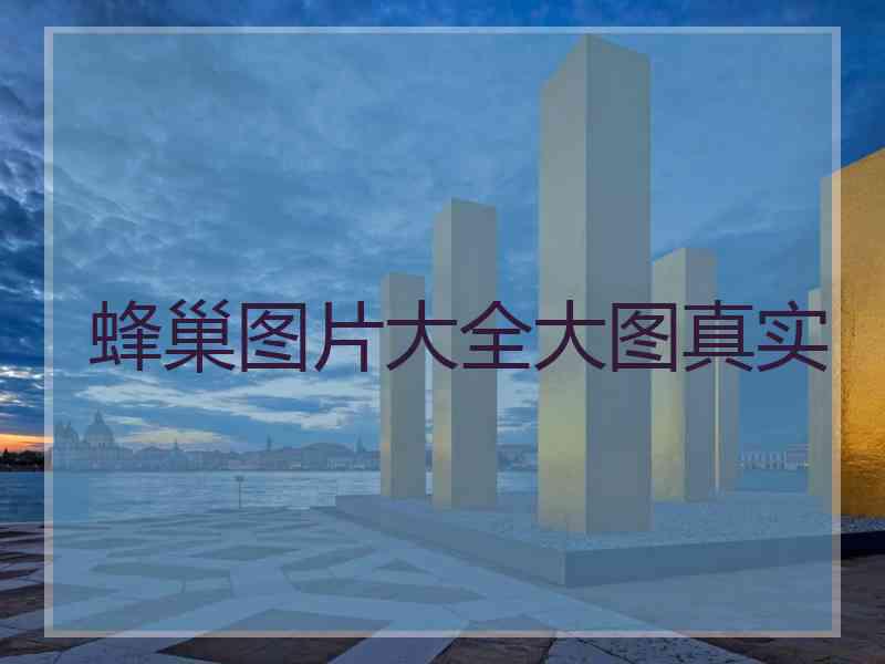 蜂巢图片大全大图真实
