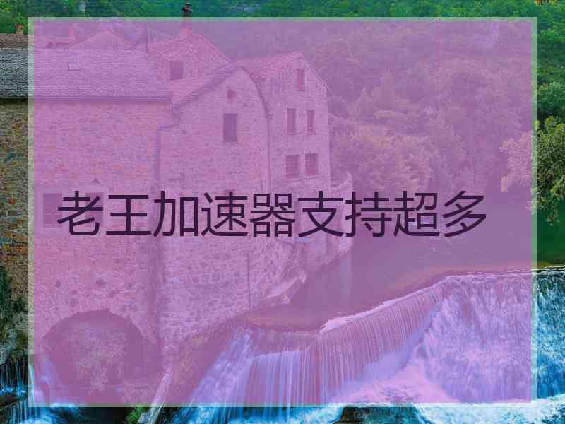 老王加速器支持超多