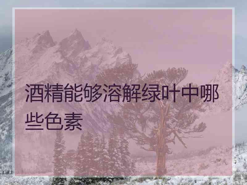 酒精能够溶解绿叶中哪些色素