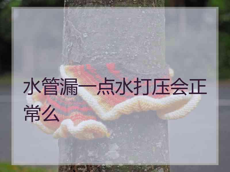 水管漏一点水打压会正常么