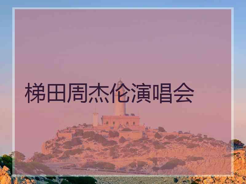 梯田周杰伦演唱会