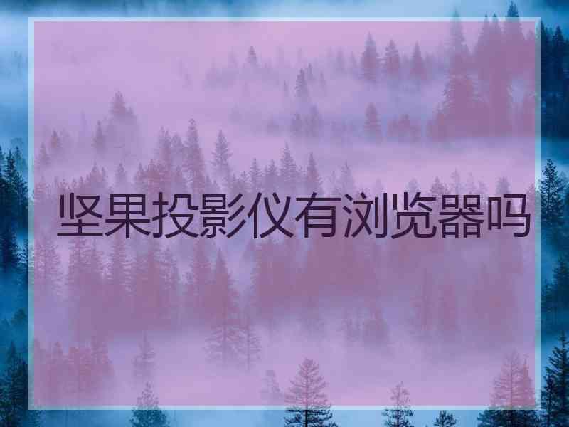 坚果投影仪有浏览器吗