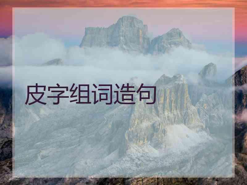 皮字组词造句