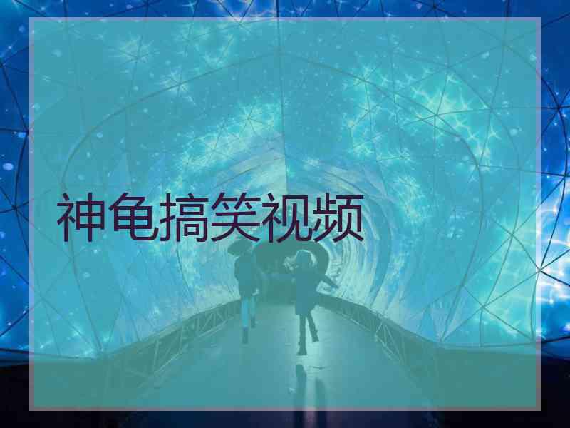 神龟搞笑视频