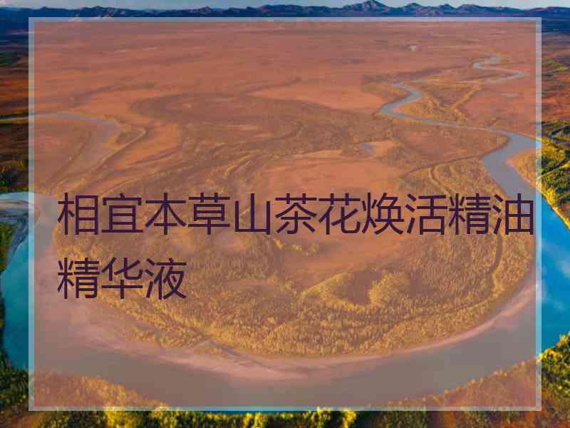 相宜本草山茶花焕活精油精华液