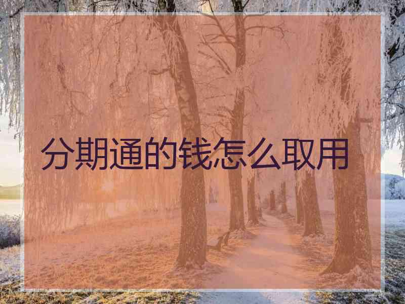 分期通的钱怎么取用