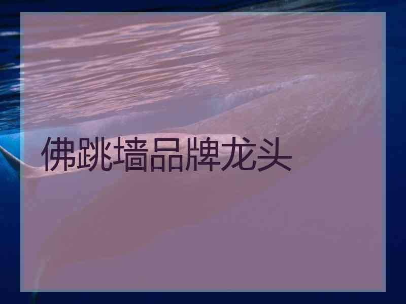 佛跳墙品牌龙头