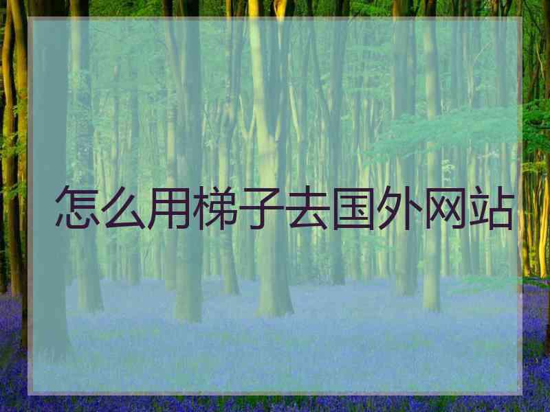 怎么用梯子去国外网站