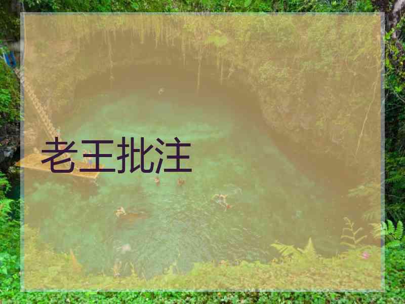 老王批注