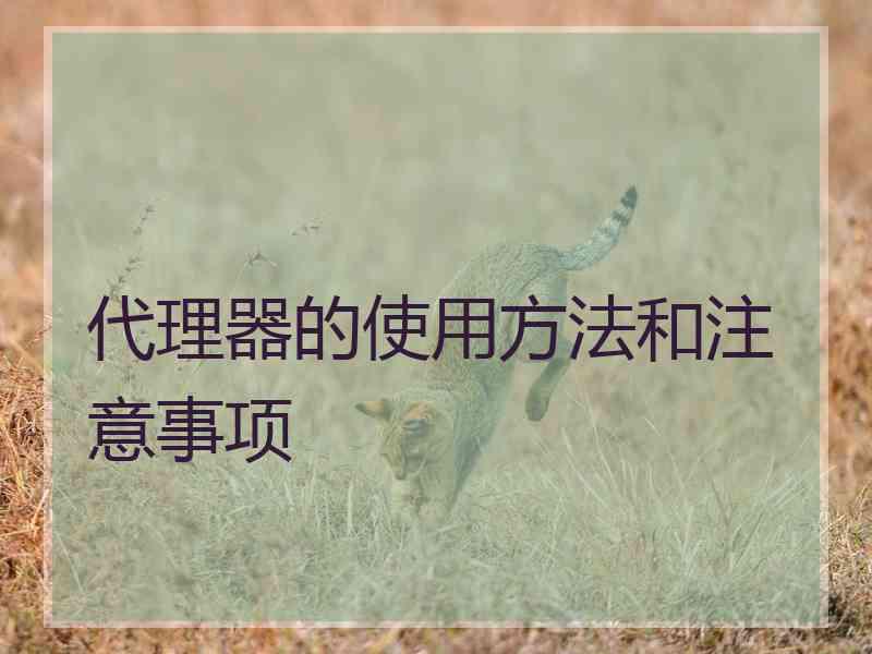 代理器的使用方法和注意事项