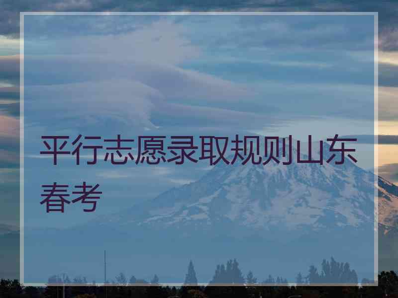 平行志愿录取规则山东春考