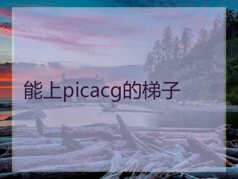 能上picacg的梯子