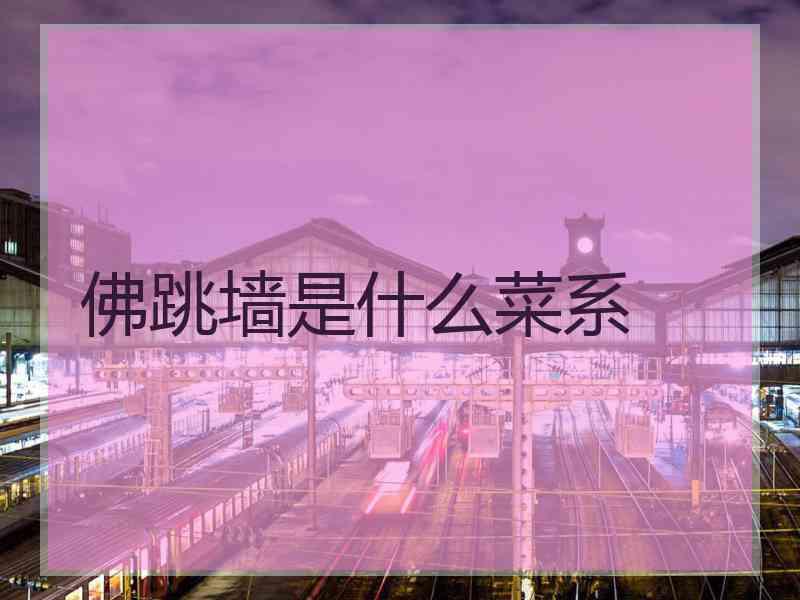 佛跳墙是什么菜系
