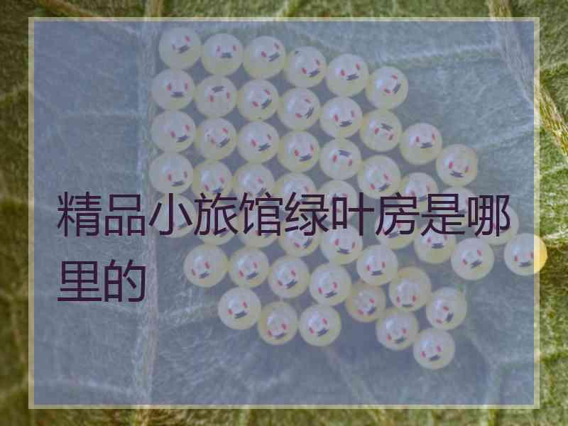 精品小旅馆绿叶房是哪里的