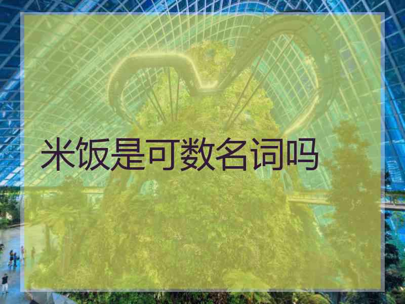 米饭是可数名词吗
