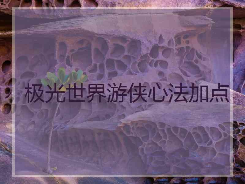 极光世界游侠心法加点