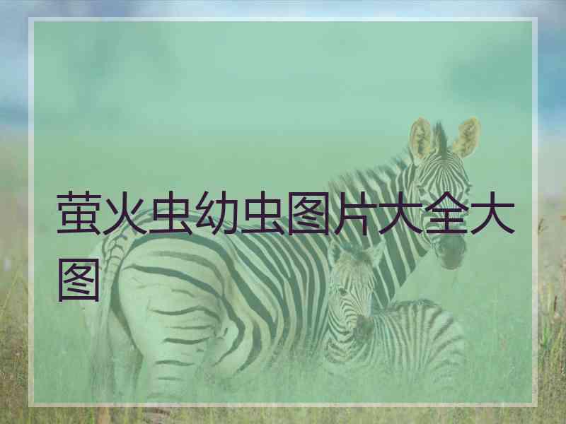萤火虫幼虫图片大全大图