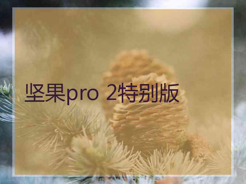 坚果pro 2特别版