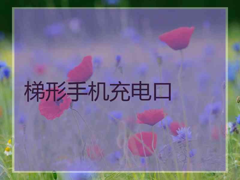 梯形手机充电口